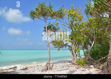 Minicoy island, Lakshadweep, India Stock Photo