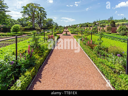 The Queen Elisabeth Walled Gardens at Dumfries House and Garden in Dumfries House Estate near Cumnock East Ayrshire Scotland UK Stock Photo