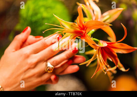 Hand holding flowers in front of autumn crops Stock Photo