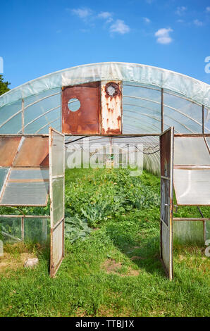 Sunny day view crop farm field in england uk Stock Photo - Alamy