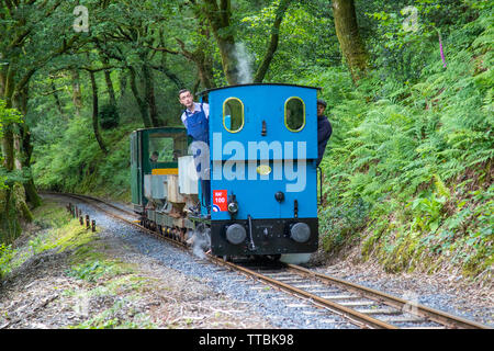 A vintage steam locomotive Locomotive on the Heritage Talyllyn Railway, Wales, UK Stock Photo