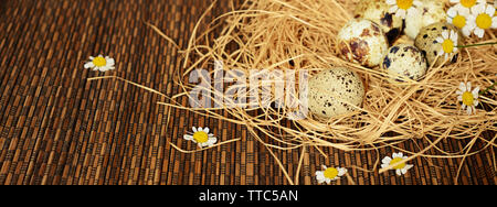 Quail eggs and daisy flowers in a nest of straw on dark striped  background Stock Photo