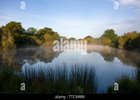 Hammer Pond at Knepp Wildland Stock Photo - Alamy