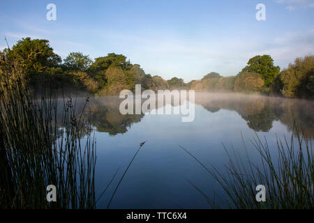 Hammer Pond at Knepp Wildland Stock Photo