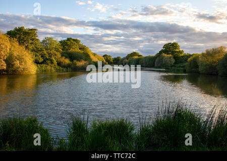 Hammer Pond at Knepp Wildland Stock Photo