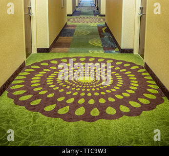 Carpeted hallway of hotel in  Paducah Kentucky USA Stock Photo