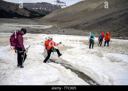 Mountaineers, ice trekkers, ice climbers, hikers and tourist people are exploring the glacier by walking on it, at Columbia Icefield, Japser National Stock Photo