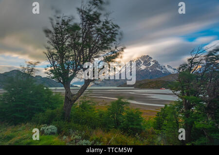 Strong wind storm in Torres del Paine national park with blurred motion of trees and grass, by Lago Grey and the Grey Glacier, Patagonia, Chile. Stock Photo