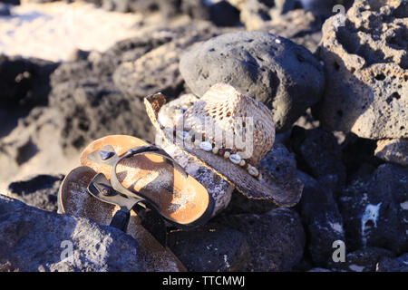 Close up of isolated sandals with straw sun hat on rock beach - El Cotillo, Fuerteventura Stock Photo