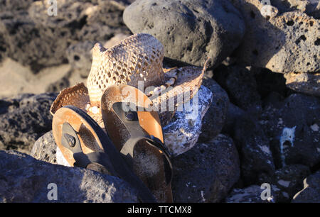 Close up of isolated sandals with straw sun hat on rock beach - El Cotillo, Fuerteventura Stock Photo