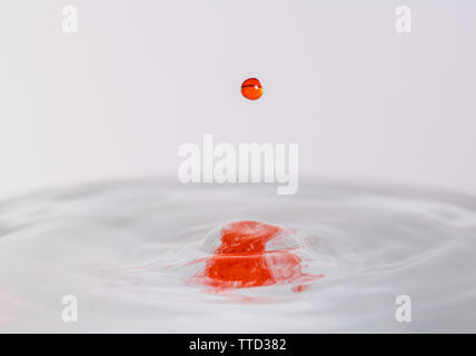 Close up macro photography of a red water, resembling blood,  drop splashing into water with a light colored white gray background Stock Photo