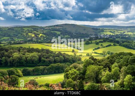 On a breezy day in June, the light creeps across the rolling countryside of Devon. Stock Photo