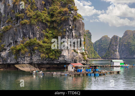 Floating fishermen village in Ha Long Bay near Cat Ba Island, Hai Phong Province, Vietnam, Asia Stock Photo