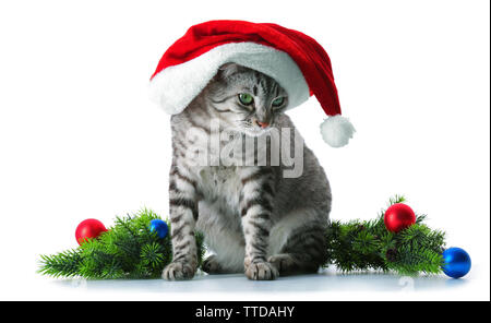 Christmas cat isolated on white Stock Photo