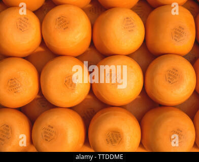 Waxed cylinders of Edam cheese, Edam, North Holland (Noord-Holland), Kingdom of the Netherlands Stock Photo