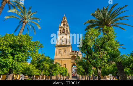 Bell Tower of Cordoba Mosque Cathedral on a sunny morning. Andalusia, Spain. Stock Photo