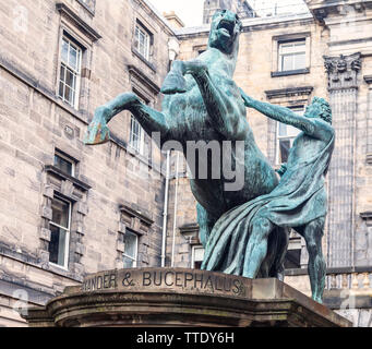 Statue (1884, Sir John Steell) of Alexander taming Bucephalus in the quadrangle of Edinburgh City Chambers off the Royal Mile. Scotland, UK Stock Photo