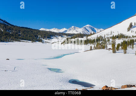 the frozen Tioga Lake on highway 120 (the Tioga Pass ) in the eastern Sierra Nevada mountains California USA. June 2019. Stock Photo