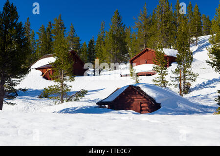 Wood cabins at The Tioga Pass resort in the Sierra Nevada mountains on highway 120 (Tioga Pass) California  2019 after a winter of record snow. Stock Photo