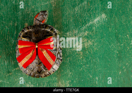 Turtle with red bow on green background, close up Stock Photo