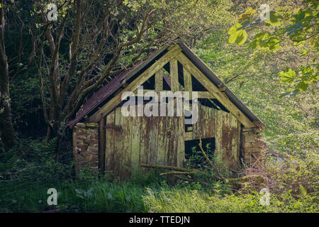 Old wooden shack in the countryside Stock Photo