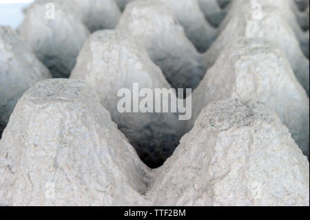 Underside of an Empty Biodegradable Molded Pulp Fiber Egg Carton Tray. Stock Photo