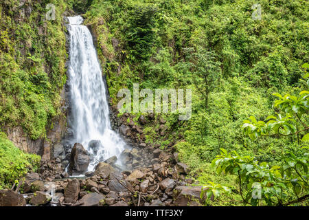Beautiful waterfall in Dominica, Trafalgar Falls, Caribbean Island.