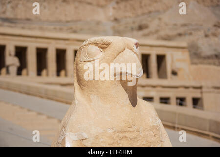 Statue of Horus at the Temple of Hatshepsut in the vicinity of Luxor Stock Photo