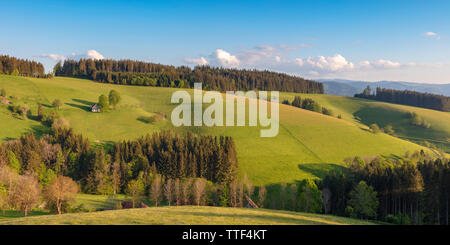 Hügelige Landschaft im Frühling, St.Märgen, Schwarzwald, Baden-Württemberg, Deutschland Stock Photo
