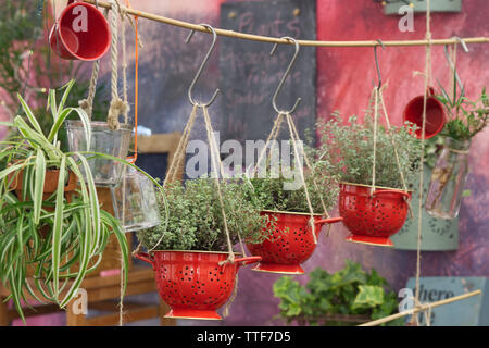 Decorative red colander flowerpots