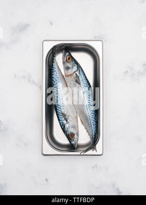 Overhead view of Atlantic mackerels in container on marble table Stock Photo