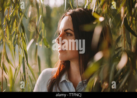 Close-up of thoughtful woman looking away while standing by weeping willow in park Stock Photo