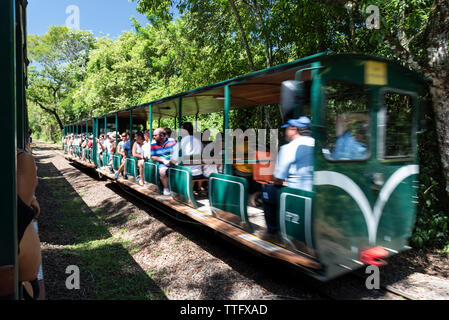 Train with tourists on green atlantic rainforest