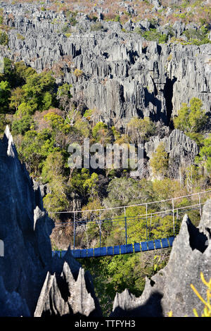 View of the Karst limestone formations and hanging bridge at the Grand Tsingy.  Tsingy de Bemaraha National Park.  Madagascar. Stock Photo