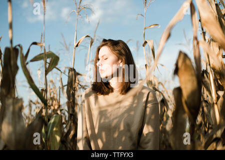 Beautiful portrait of a young stylish woman in a corn field Stock Photo
