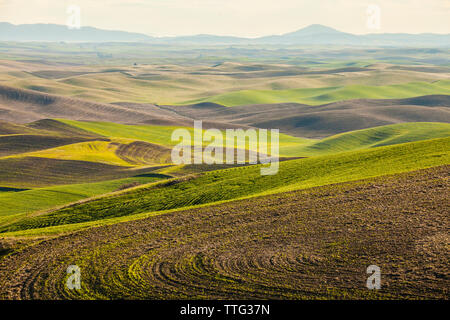 Scenic view of Palouse hills against sky Stock Photo