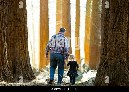 Father holding hands with his daughter while walking in nature park. Stock Photo