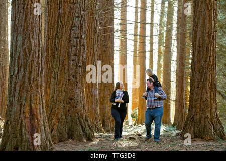 Family of four conversing while walking through tranquil forest Stock Photo