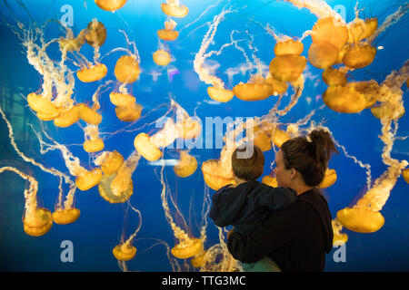 Mother and her son looking at Lion's Mane Jellyfish in aquarium