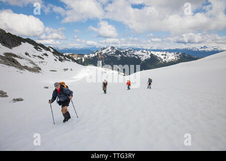 Four mountaineers travel across a glacier towards Cypress Peak. Stock Photo