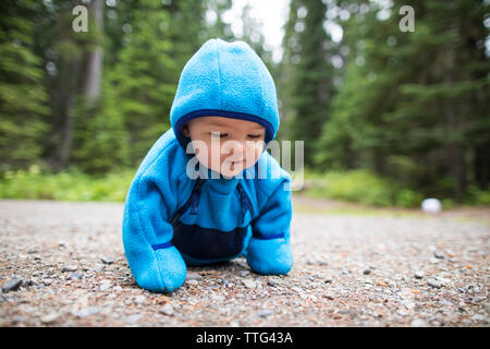 Toddler in blue fleece suit crawling outdoors Stock Photo