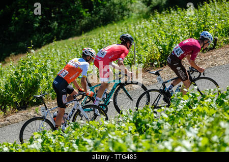 A cycling race in the vineyards of Brouilly and Mont Brouilly, two Beaujolais vintages. A two-day race that crosses the Beaujolais wine region Stock Photo