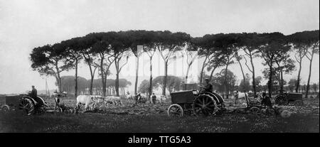 italy, tuscany, coltano, farmers working with fiat tractors, 1921 Stock Photo