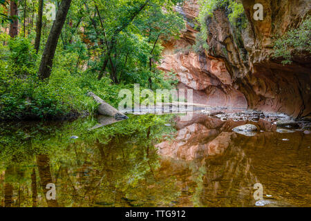 Scenic view of stream at Oak Creek Canyon Stock Photo