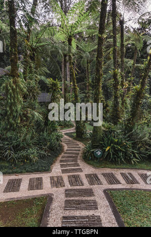 View of the alley in the tropical park Stock Photo