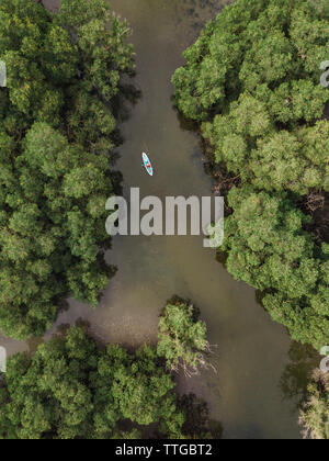 Man kayaking in mangrove forest Stock Photo