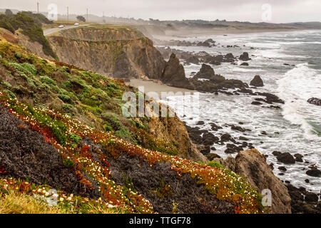 Scenic view near State Route 1 in Sonoma Coast State Park, California Stock Photo