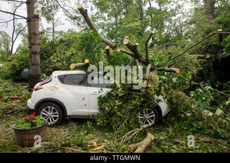 A car sits damaged, and covered with fallen trees, on W. Chafin Chapel Rd., Sunday, June 16, 2019 near Ellettsville, Ind. A tornado struck the area Saturday night leaving a patch of damage from Greene County to Northern Monroe County destroying trees, homes, cars, and leaving a path of debris and live power lines on the ground in its wake. Stock Photo