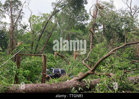 A car is surrounded by fallen trees on W. Chafin Chapel Rd., Sunday, June 16, 2019 near Ellettsville, Ind. A tornado struck the area Saturday night leaving a patch of damage from Greene County to Northern Monroe County destroying trees, homes, cars, and leaving a path of debris and live power lines on the ground in its wake. Stock Photo