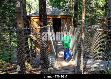 Boy walking on a wooden bridge towards a tree house in the forest Stock Photo